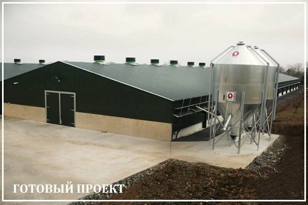Этапы возведения птицефабрики от завода ВелесТент-нрт